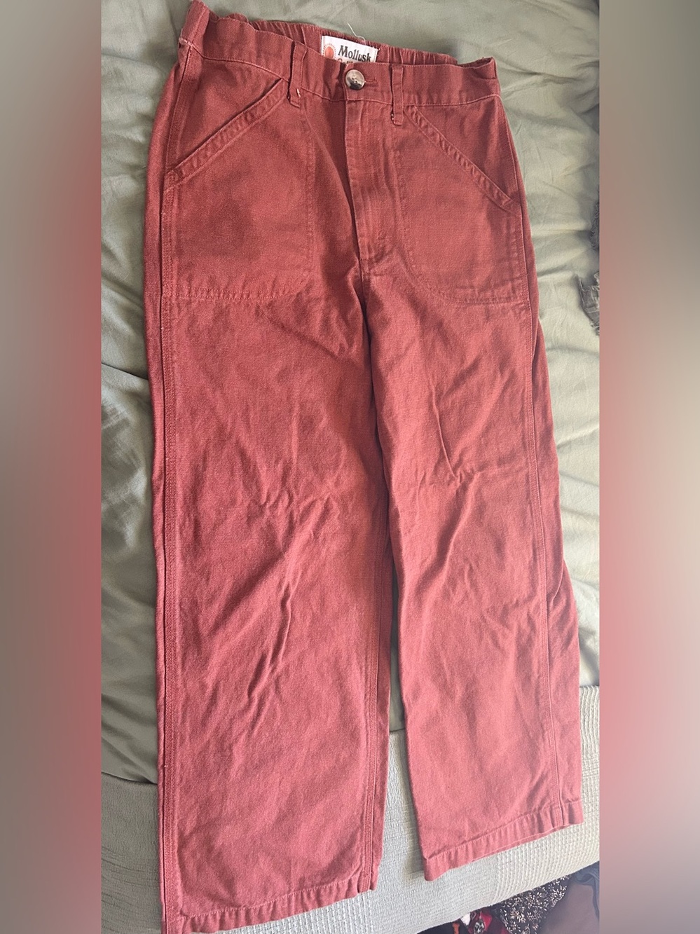 Rust Red mollusk Pants